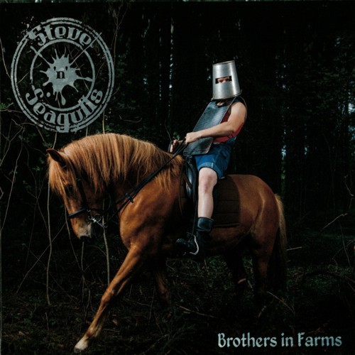 Steve 'n' Seagulls - Brothers in farms