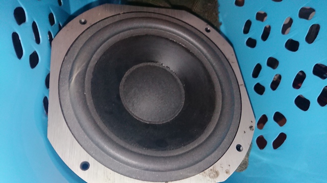 8 Zoll Woofer / P