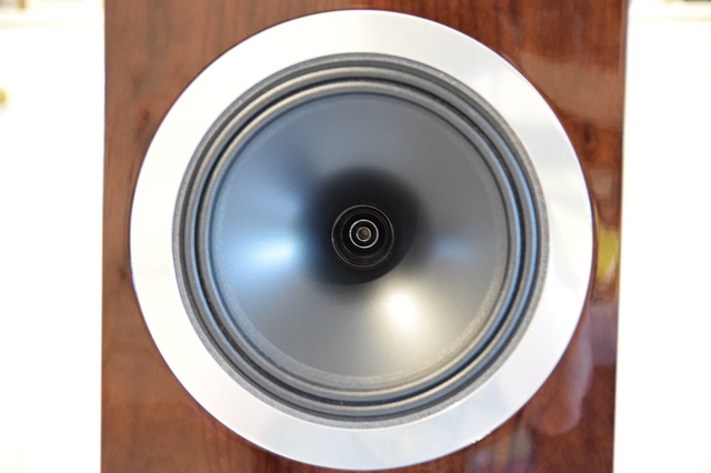 Tannoy DC10T