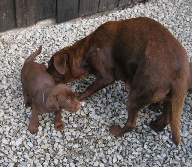 Unser Woti und die Mutti 