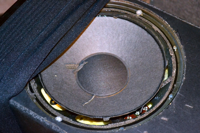 Audio Exklusiv Tubular Bell Lautsprecher -Sicke Defekt.