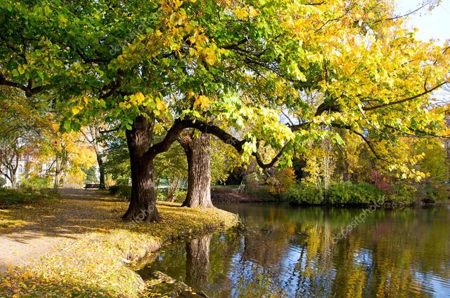 depositphotos_34725801-stock-photo-autumn-park-in-the-city