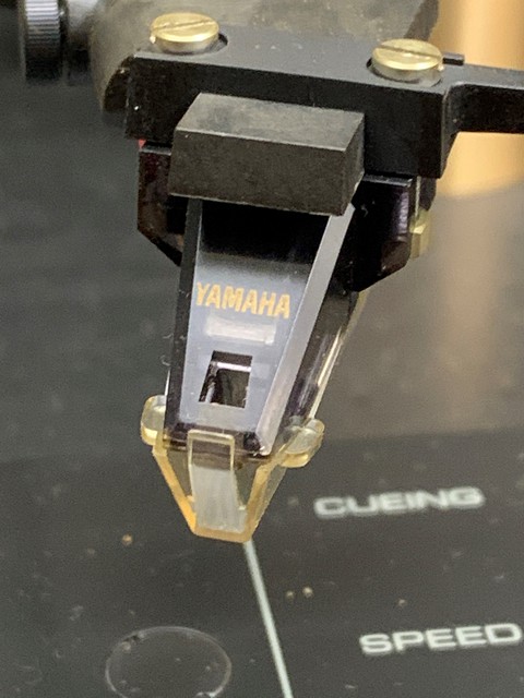PF 800 1
