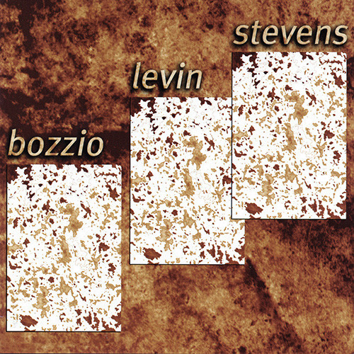 Bozzio, Levin, Stevens Situation Dangerous
