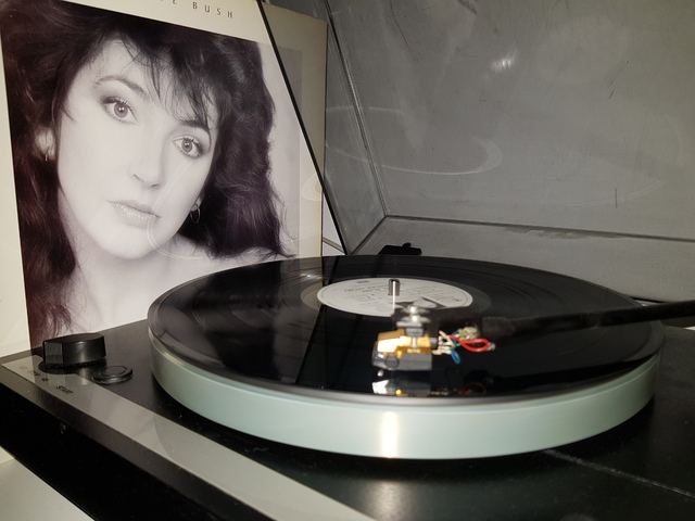 Kate Bush The Whole Story