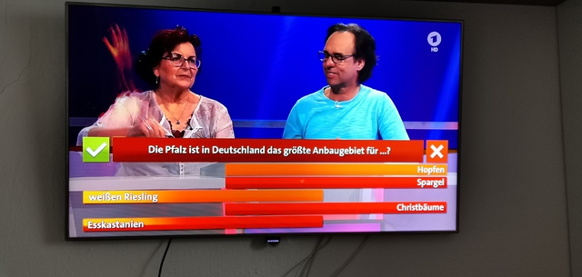 Bildschirm Defekt ???