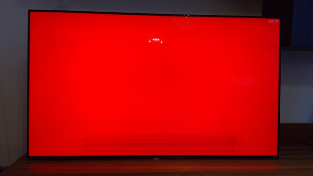 A1 55 Oled Burn-in Rot