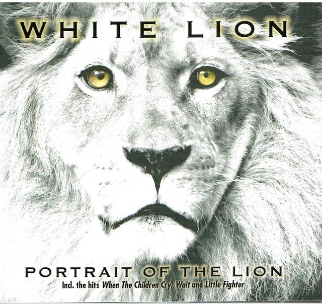 White Lion - Portrait Of The Lion
