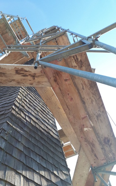 IMG 20230407 164600 (500 X 800 Pixel)