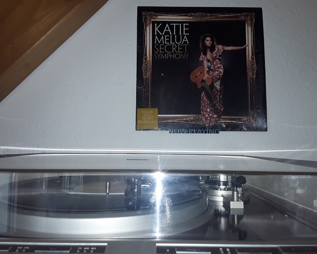 IMG 20230702 174303 (1500 X 1200 Pixel)