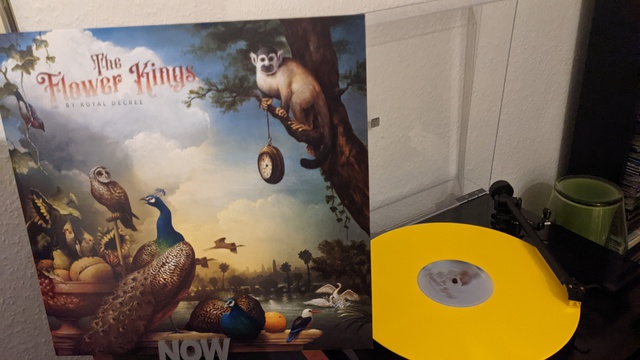 PXL 20220317 194748062