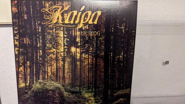 PXL 20220428 190232828