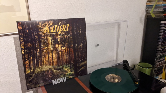 PXL 20220428 190239324