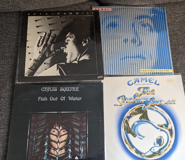 PXL 20220502 150230331