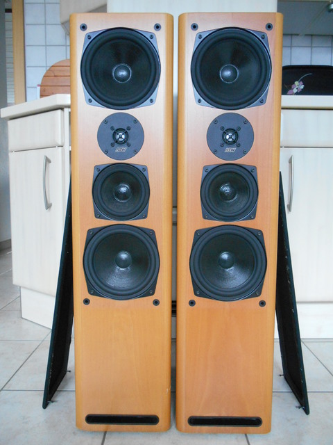 ASW Cantius ML V MK2 02