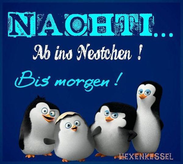 Gute Nacht Bilder Lustig 3