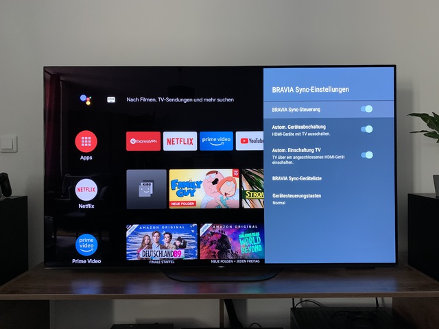 Bravia Sync1