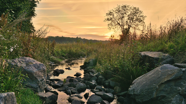 Bearbeitet Bild