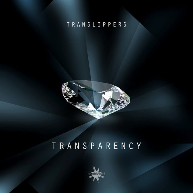 Translippers - Transparency