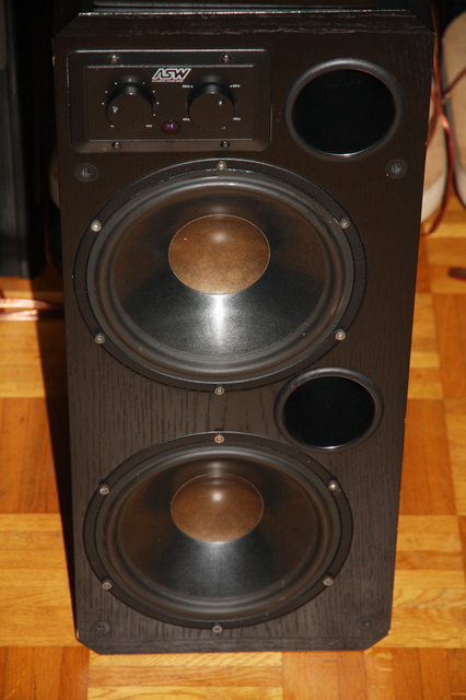 ASW Delta 300