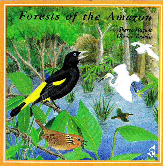 Forests Of The Amazon 