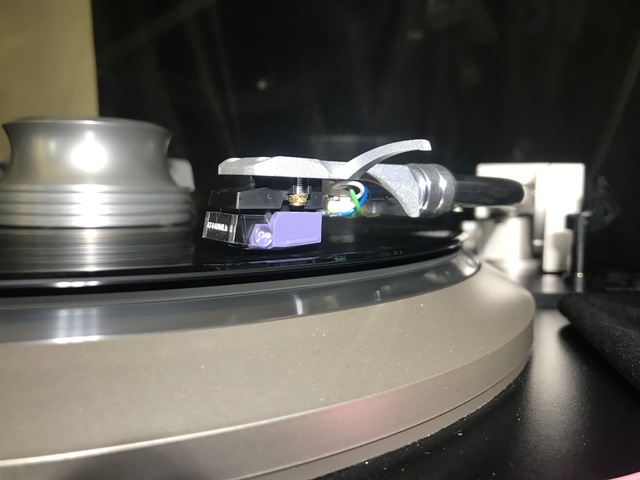 IMG 3566
