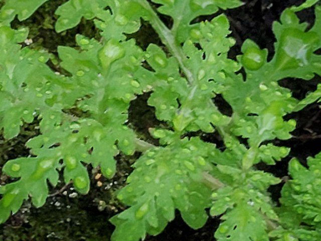 Photo 2023 04 11 19 17 50