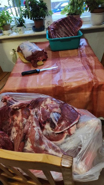 Photo 2023 05 06 20 26 53