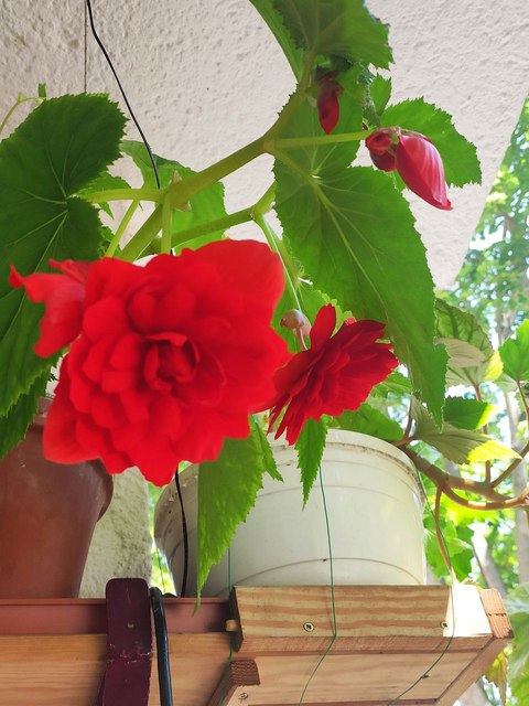 Photo 2023 07 08 13 59 04