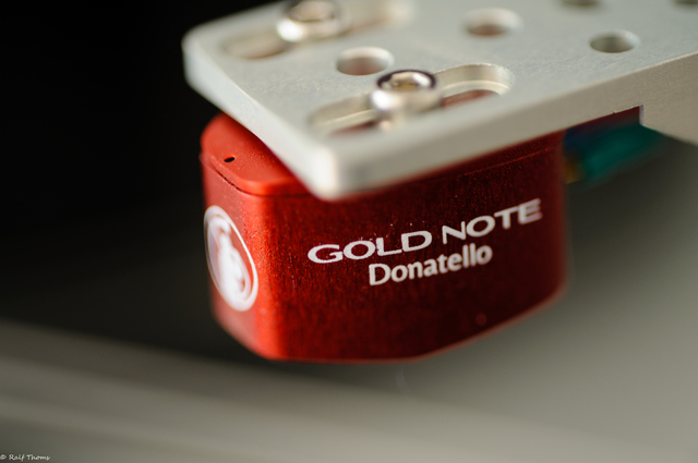 Goldnote Donatello Red