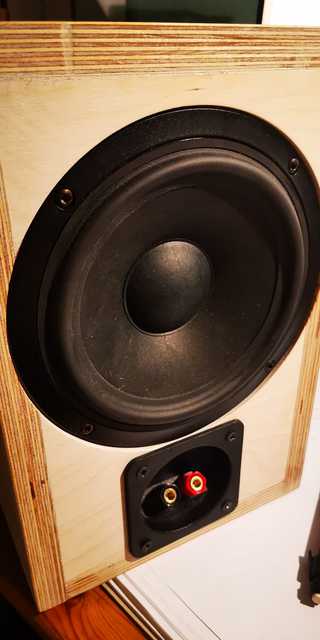 SB Acoustics Passivmembran Auf Der Rückseite