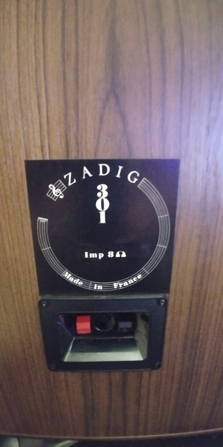 Zadig 301