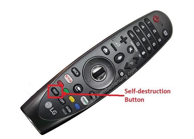 Self-Destruction Button