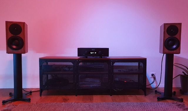 Hegel H390 Dynaudio Heritage Special