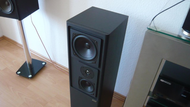 Cantius IV