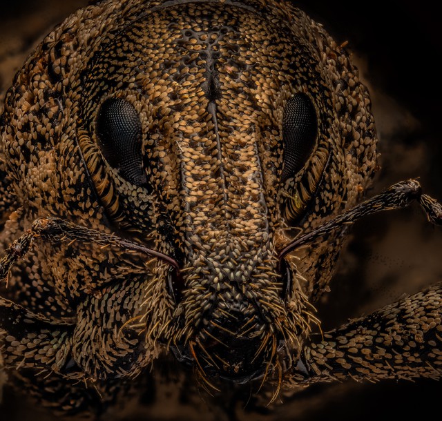 2024 01 10 07 34 10 ZS PMax Topaz Sharpen~2
