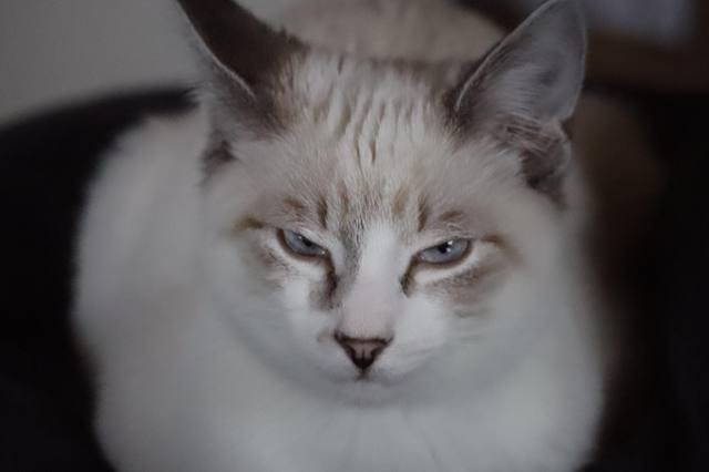 338273254 1166193417403860 9173492264824718966 N