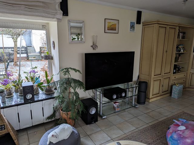 PXL 20221207 085504614