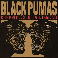 BP - Chronicles of a Diamond
