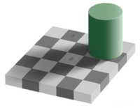 220px-Grey_square_optical_illusion