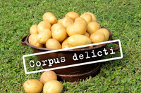 corpus-delicti-kartoffeln