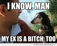 funny-consoling-canine-dog-paw-mans-shoulder-i-know-man-my-ex-bitch-too-pics