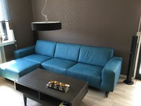 Sofa und Auenwand (2)