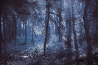 20140309_0005