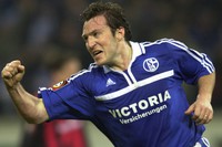 s04wilmots-DW-Sport-Gelsenkirchen