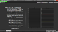 greyscale two point adjust