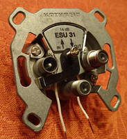 ESU 31