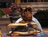 Alf