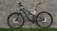 Stumpjumper Carbon