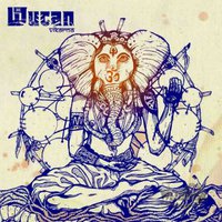 WUCAN-Vikarma-LIM-BLACK-VINYL